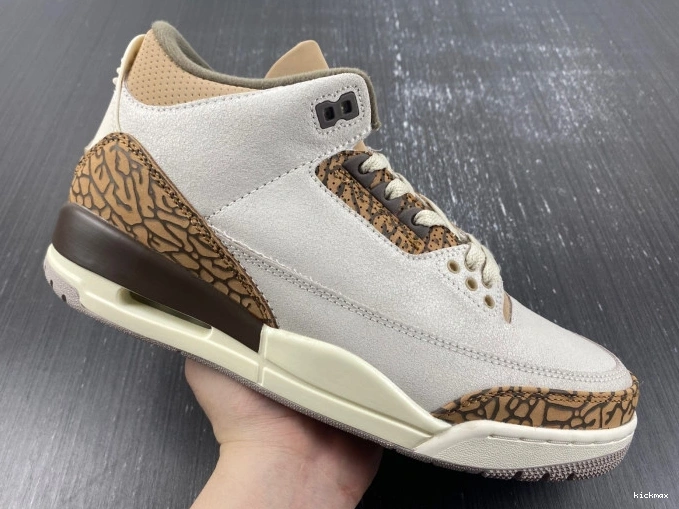Rep Palomino 3 Jordan CT8532-102 Air 0713